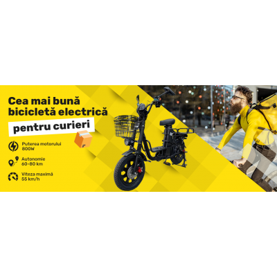 Cea mai bună bicicletă electrică pentru curierat în Moldova în 2025!