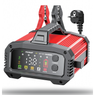 Зарядное устройство Foxsur FPT-250