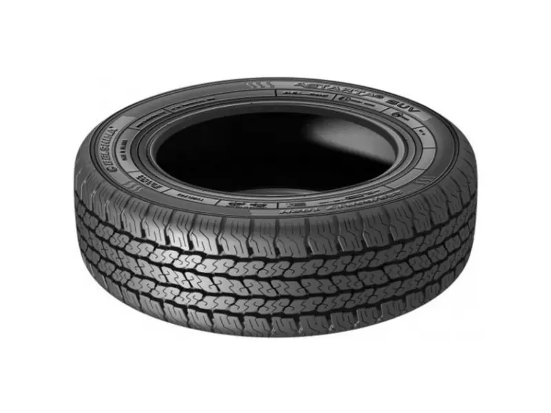 Tires Belshina BEL-295 225/65 R17