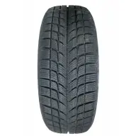 Tires Doublestar RW83 205/55 R16