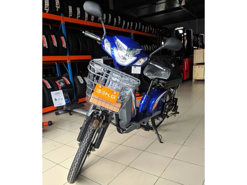 Bicicletă electrică Zarya Strong
