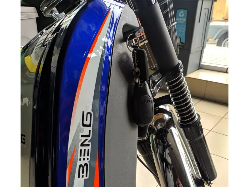 Bicicletă electrică Zarya Strong