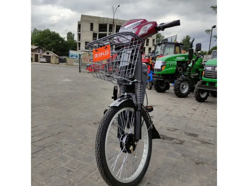 Bicicletă electrică Zarya Strong
