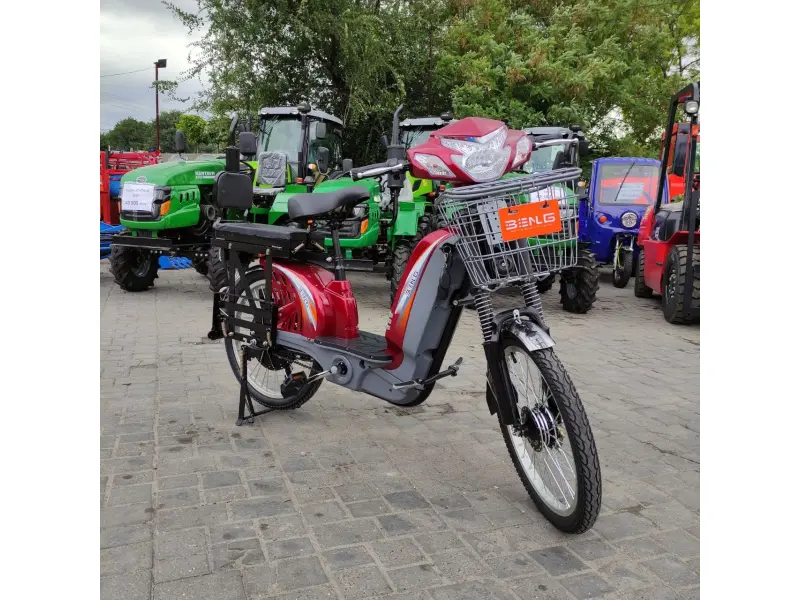 Bicicletă electrică Zarya Strong