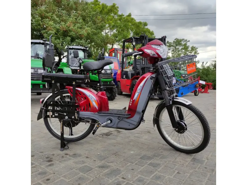 Bicicletă electrică Zarya Strong