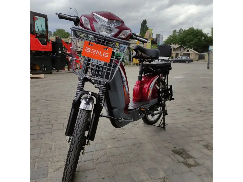 Bicicletă electrică Zarya Strong
