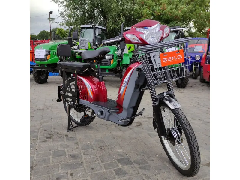 Bicicletă electrică Zarya Strong