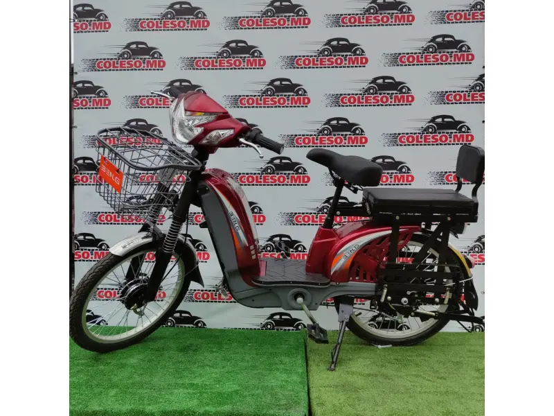 Bicicletă electrică Zarya Strong
