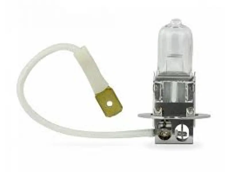 Lamp INWELLS H3 12V 55W
