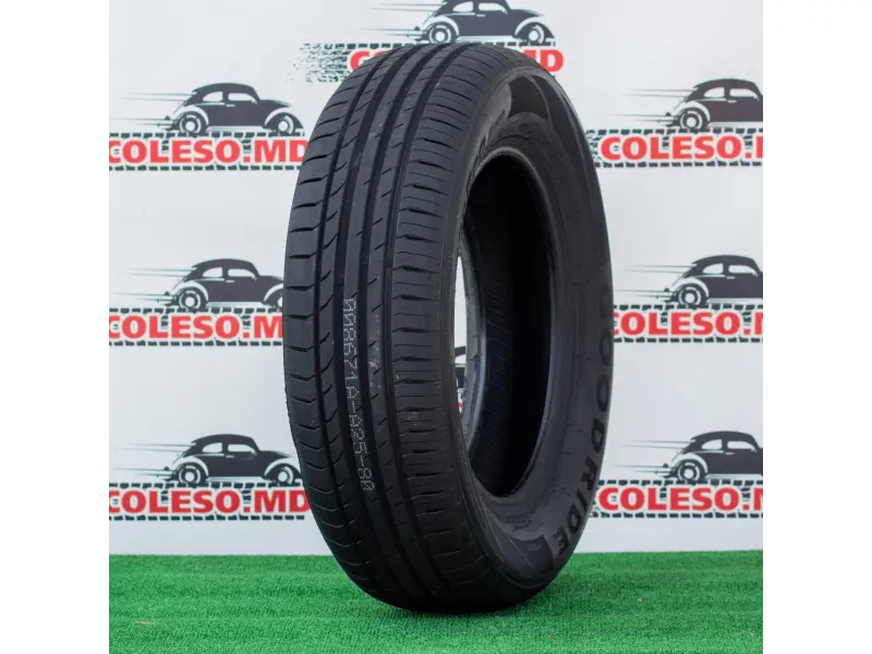 195/55/20 Goodride/Westlake 95HXL  Z-107 vara