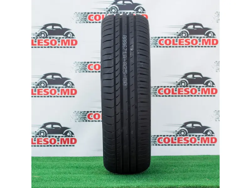195/55/20 Goodride/Westlake 95HXL  Z-107 vara