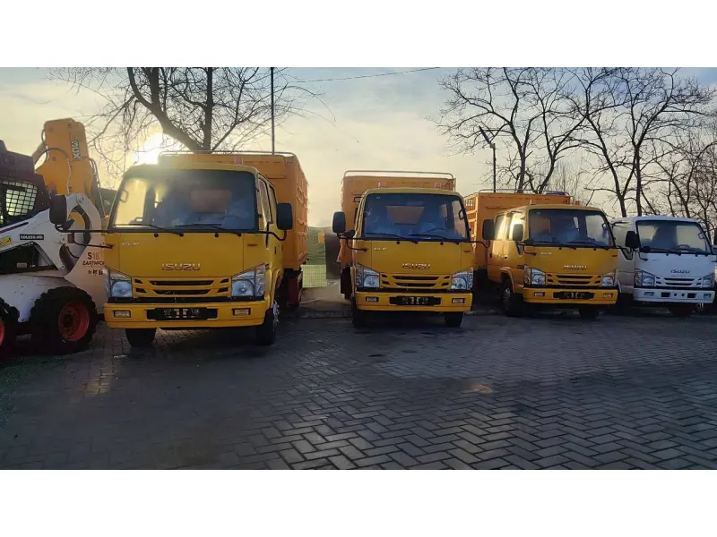 Basculantă ISUZU 4x2
