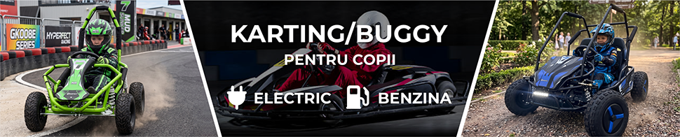 Kartinguri